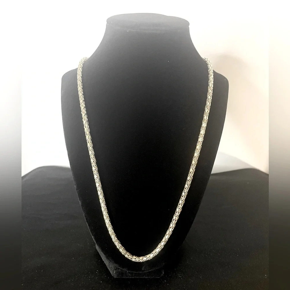 Scale Chain 24” + 1” Silver Costume Jewelry